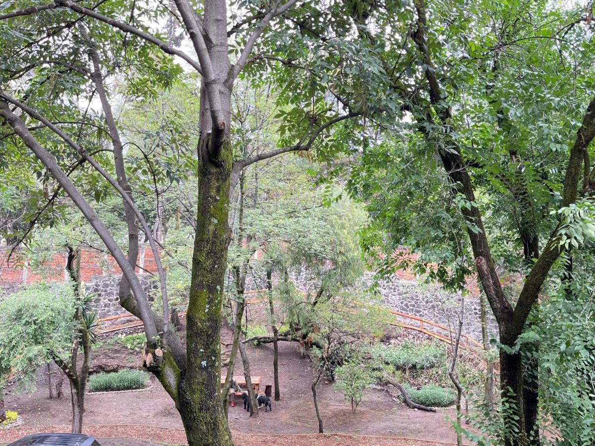 הוילה מקסיקו סיטי Mi Refugio San Angel מראה חיצוני תמונה