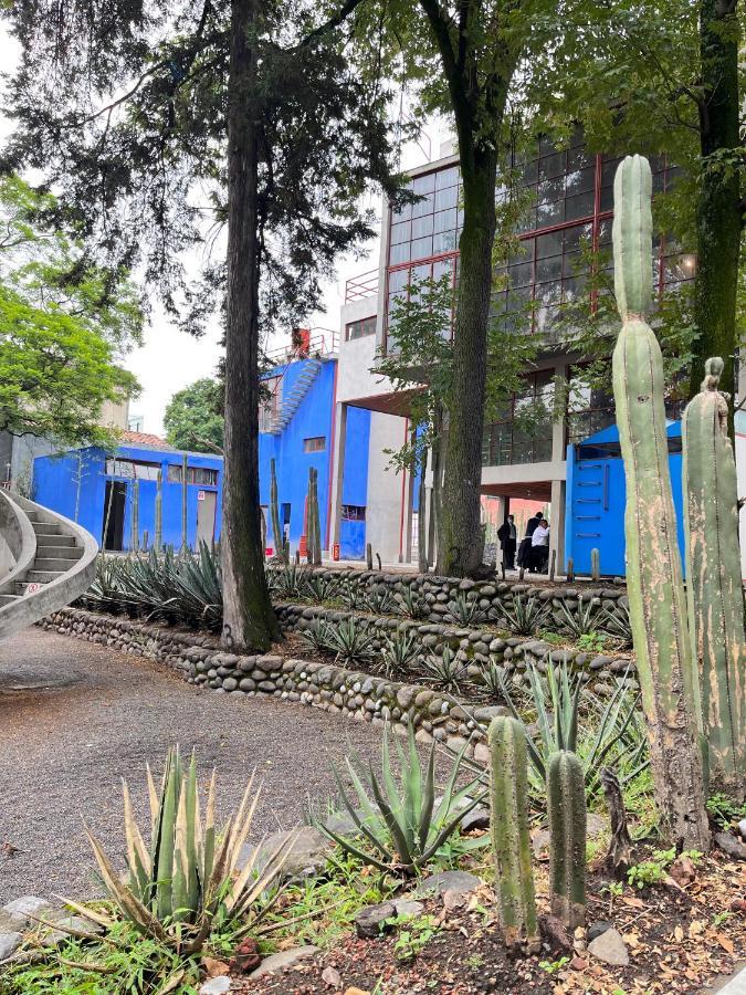 הוילה מקסיקו סיטי Mi Refugio San Angel מראה חיצוני תמונה